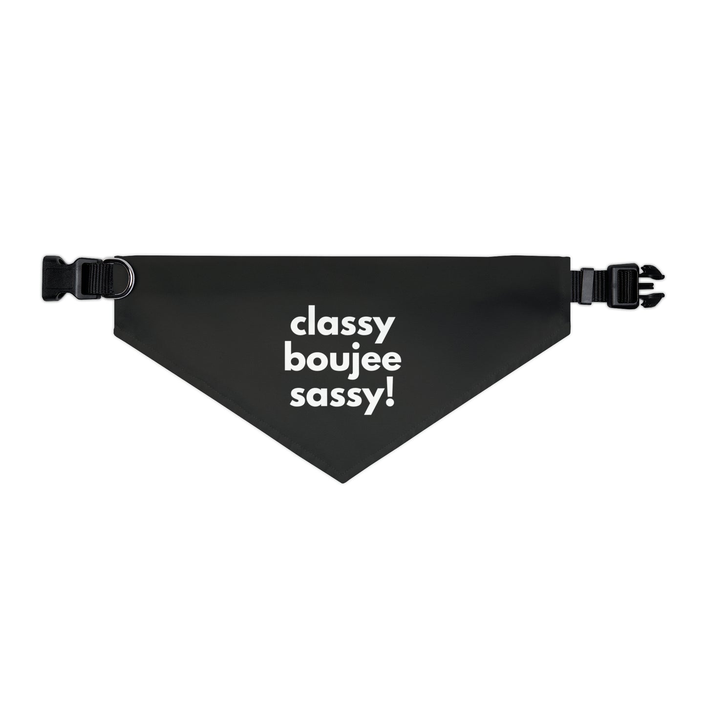 Classy Boujee Sassy Pet Bandana Collar
