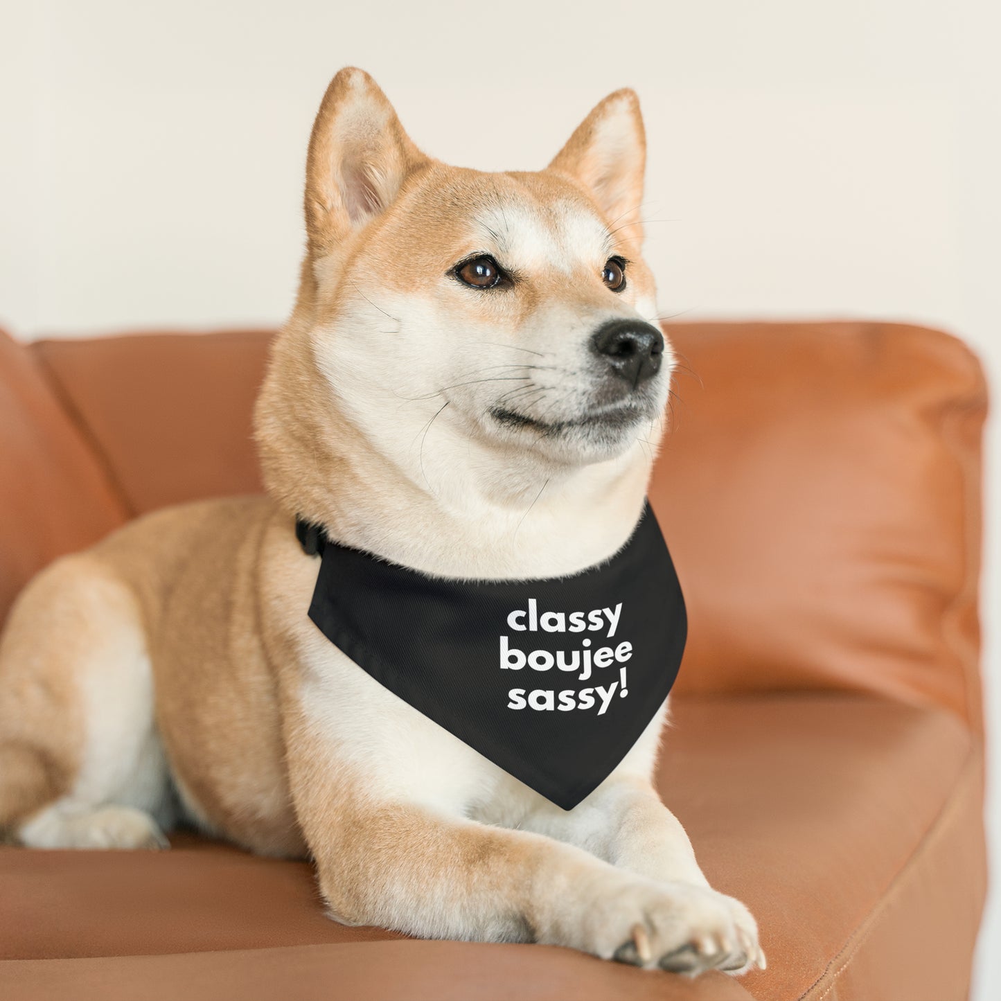 Classy Boujee Sassy Pet Bandana Collar