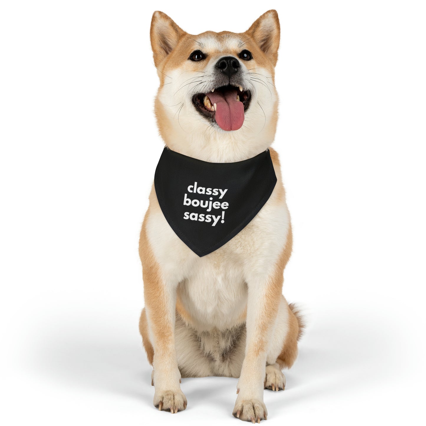 Classy Boujee Sassy Pet Bandana Collar