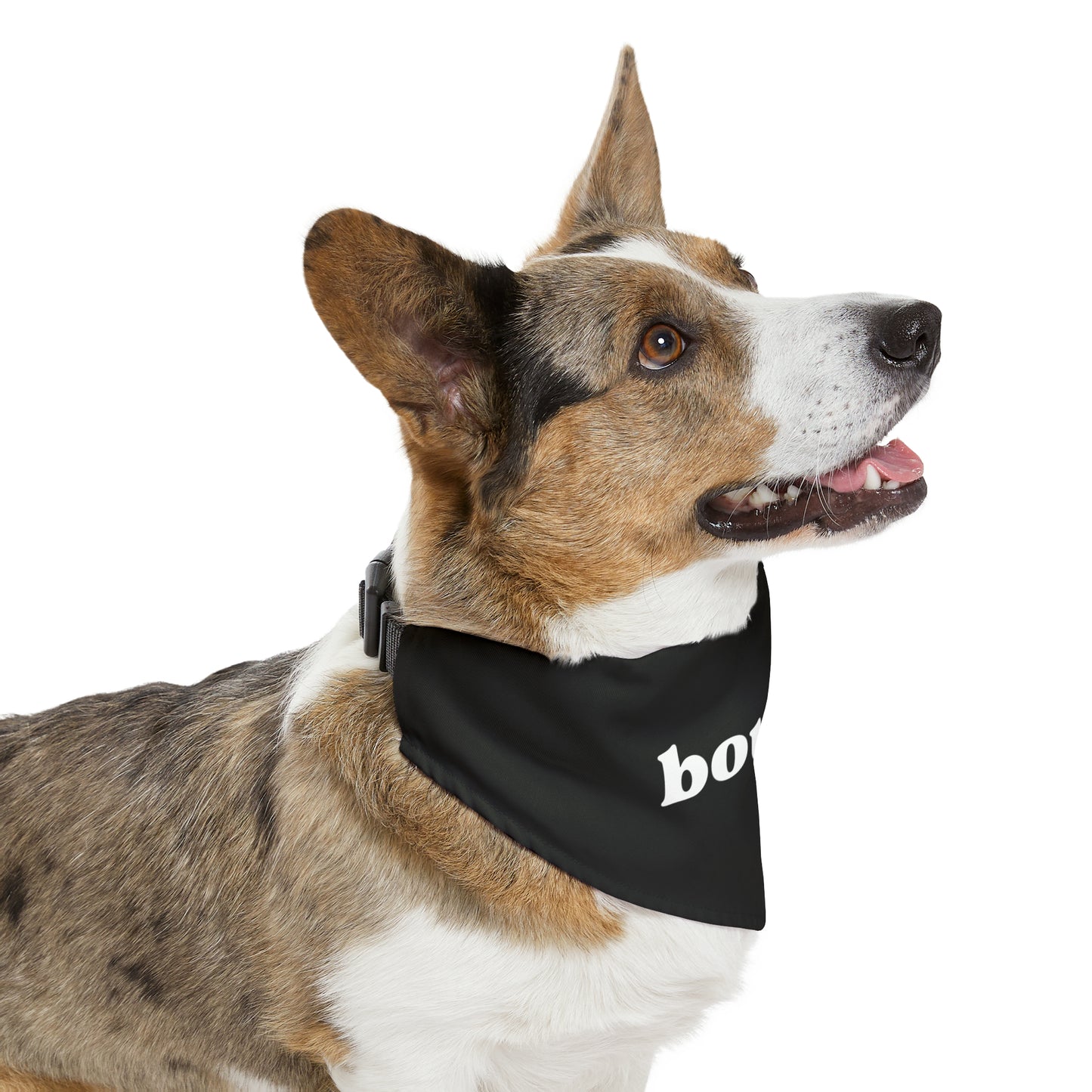 Boujee ! Pet Bandana Collar