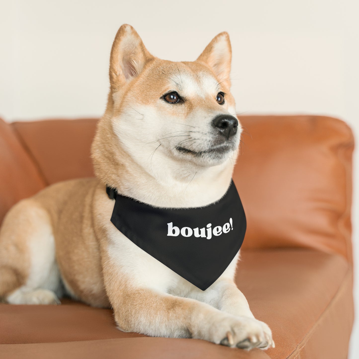 Boujee ! Pet Bandana Collar