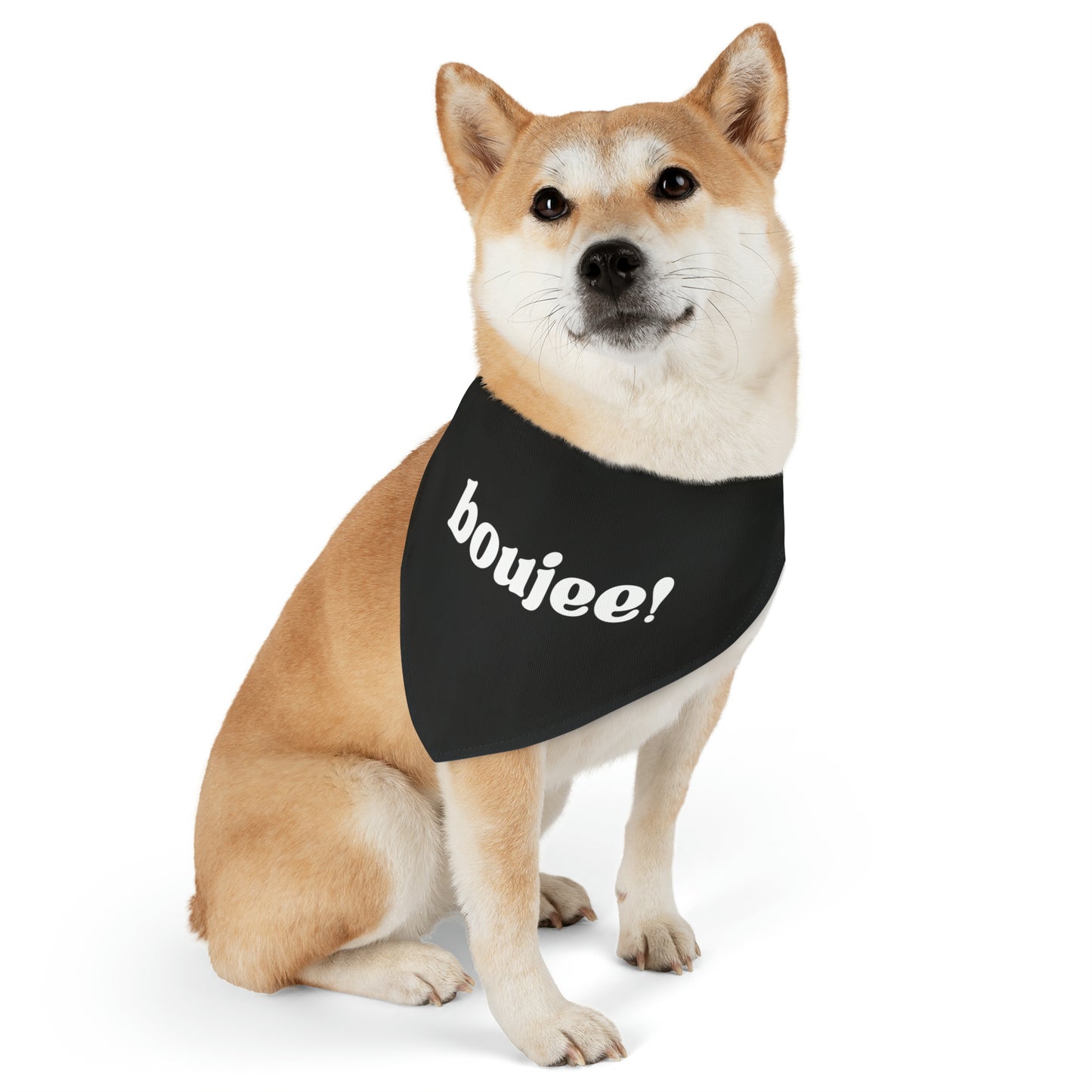 Boujee ! Pet Bandana Collar