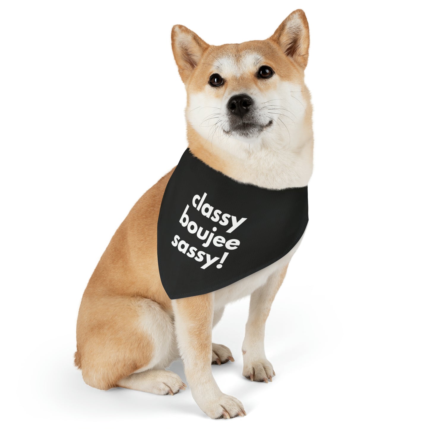 Classy Boujee Sassy Pet Bandana Collar