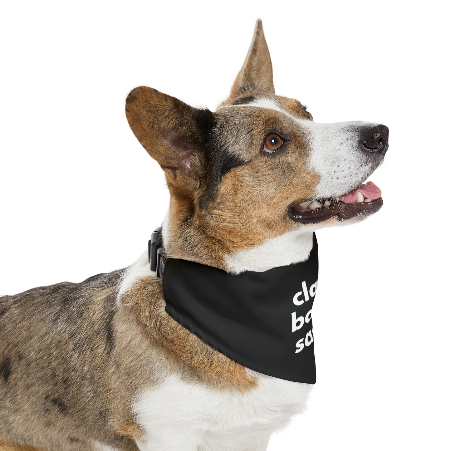 Classy Boujee Sassy Pet Bandana Collar